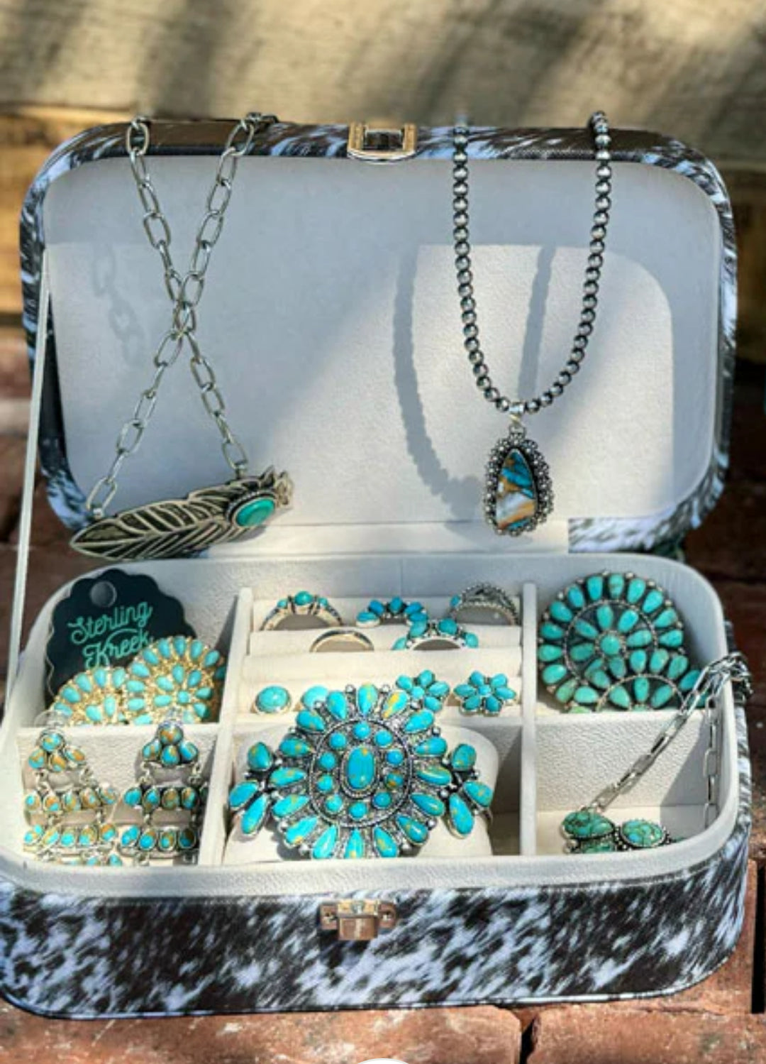 On The Range Travel Jewelry Box